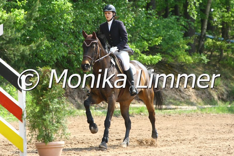 104M6322_All Or Nothing_Stil_A.JPG